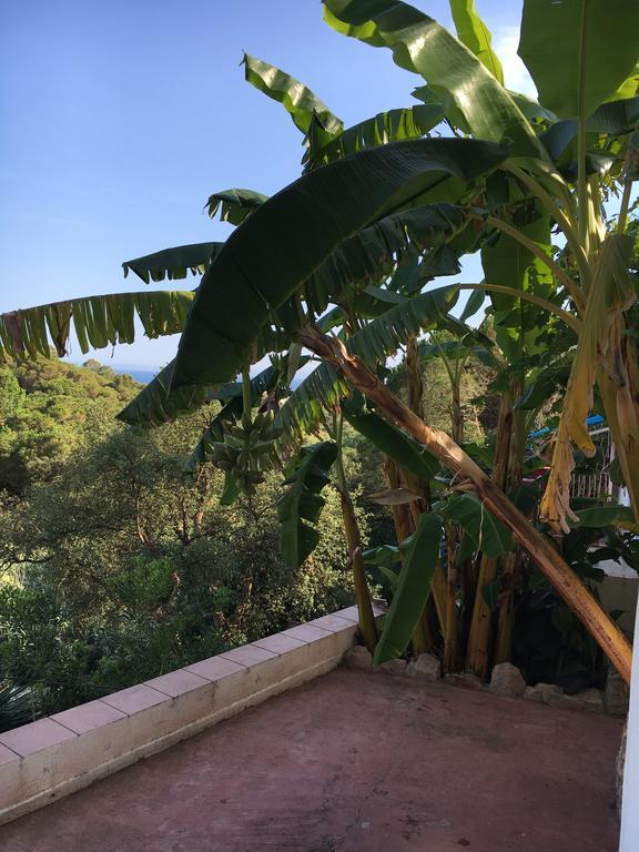 Casa Con Vistas Al Mar Y Piscina Privada Dom wakacyjny Lloret de Mar